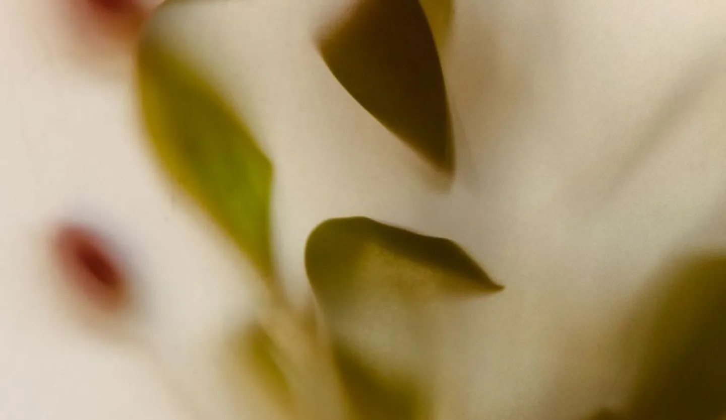 Filter background